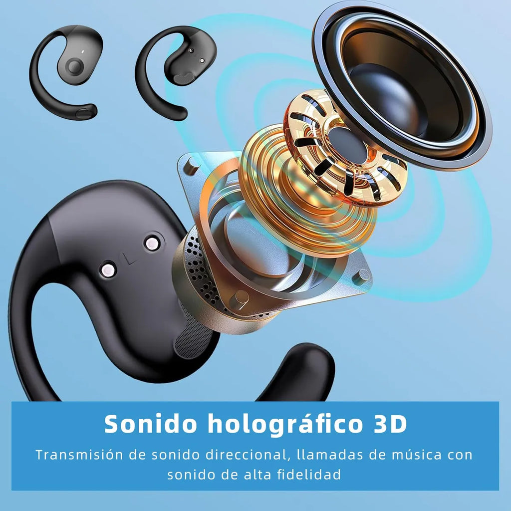 Audífonos Traductor